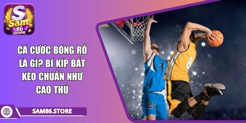 cá cược bóng rổ